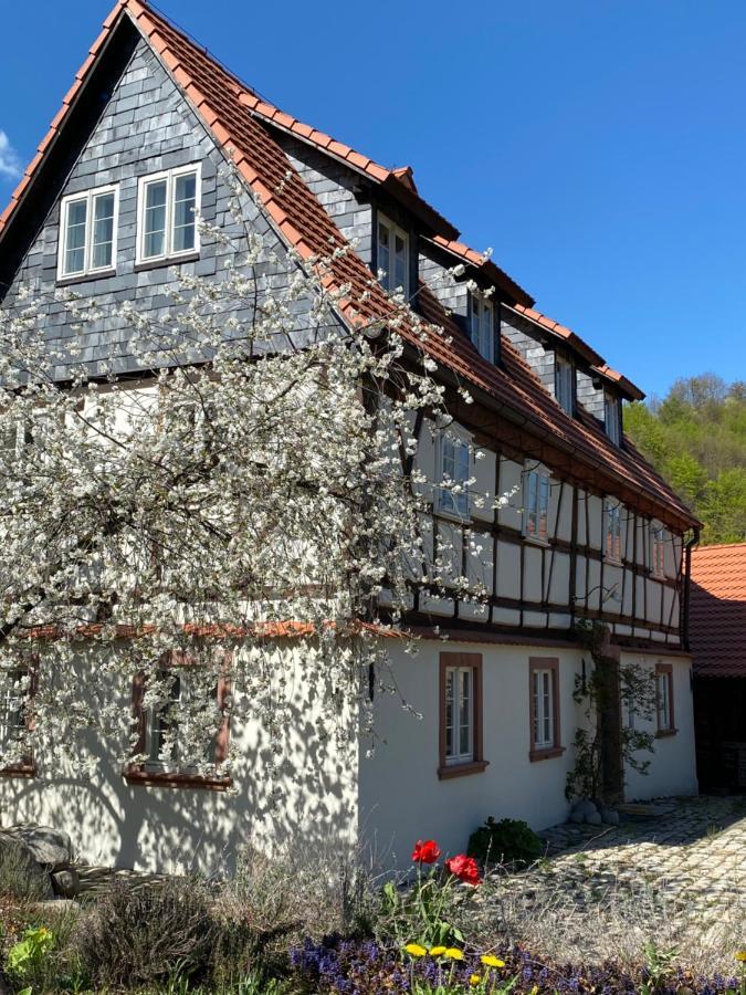 Apartmán Dom Tkacza Pieszyce Exteriér fotografie
