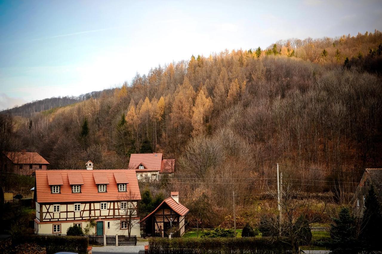 Apartmán Dom Tkacza Pieszyce Exteriér fotografie
